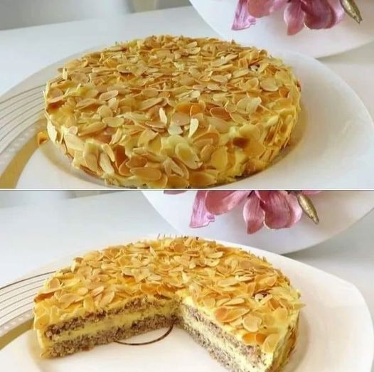 347414313 623798096469535 3427535275325999414 n