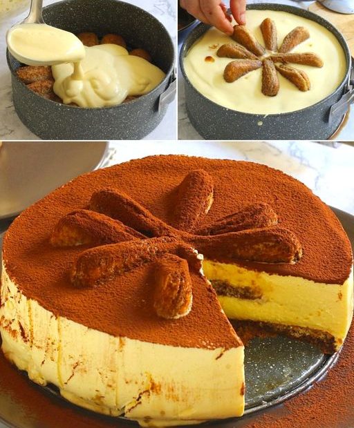 396722905 294908583433851 7814705203562191703 n