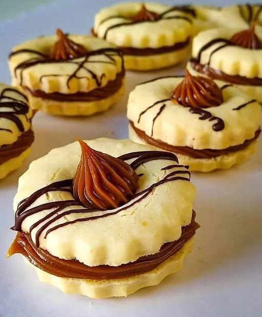 481209290 641883961559149 3495337060675176851 n