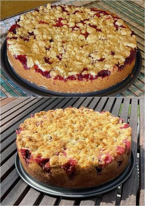 Saftiger Zwetschgenkuchen mit Zimtstreuseln und Quark Öl Teig