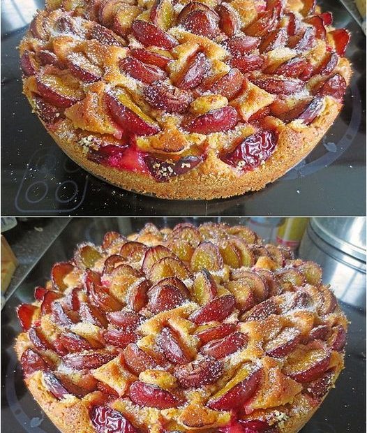 431075066 122132540288052869 3322018236333652751 n