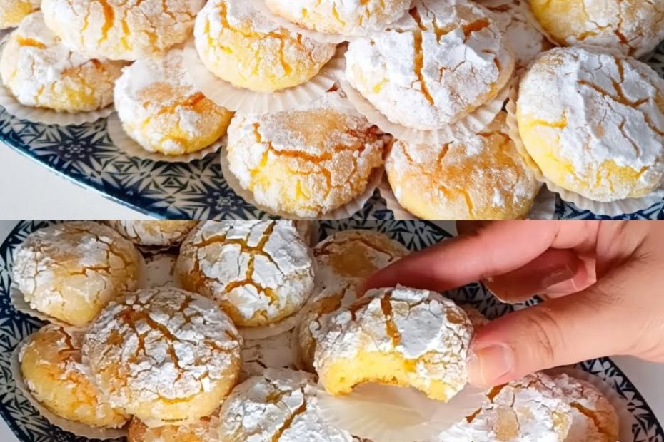 1693553841 363428141 299405302741403 56810135162642678 n