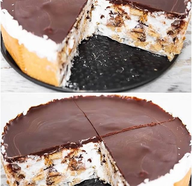 373029004 858781292276514 456876164120616544 n