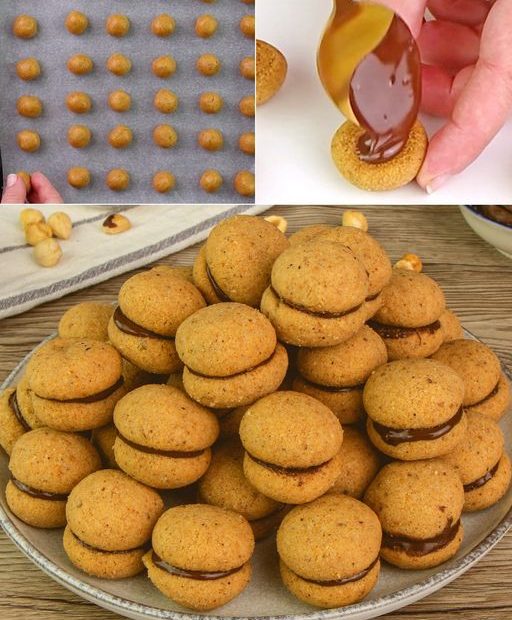 374441784 208618622202695 8085581094630053696 n