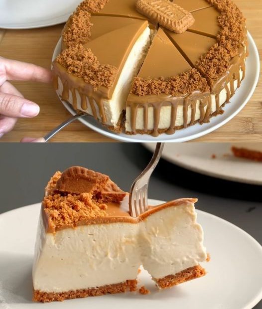 375056683 172624695854857 2918514841481409007 n