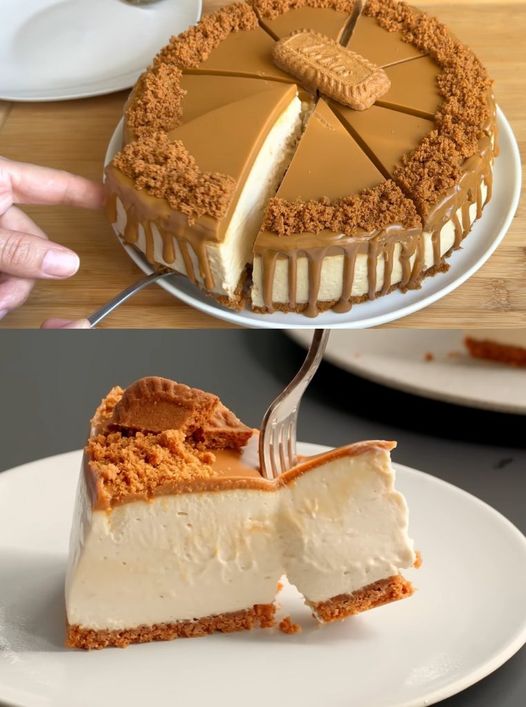 Blitz Käsekuchen ohne Backen, ich bin süchtig danach geworden