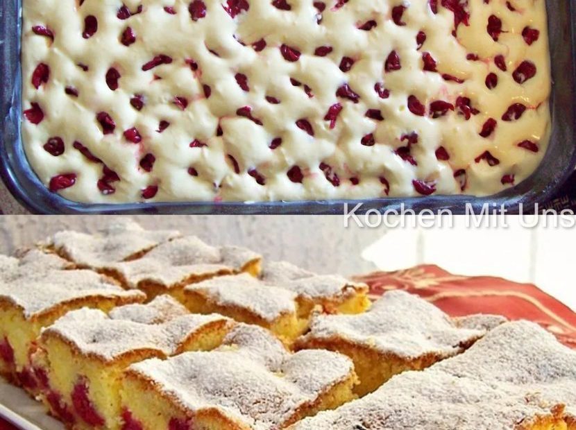 338020642 530262695947618 688277147931763628 n 830x1024 1