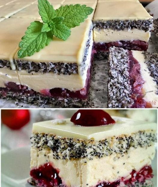 400040238 302742565983786 8401541485433034671 n