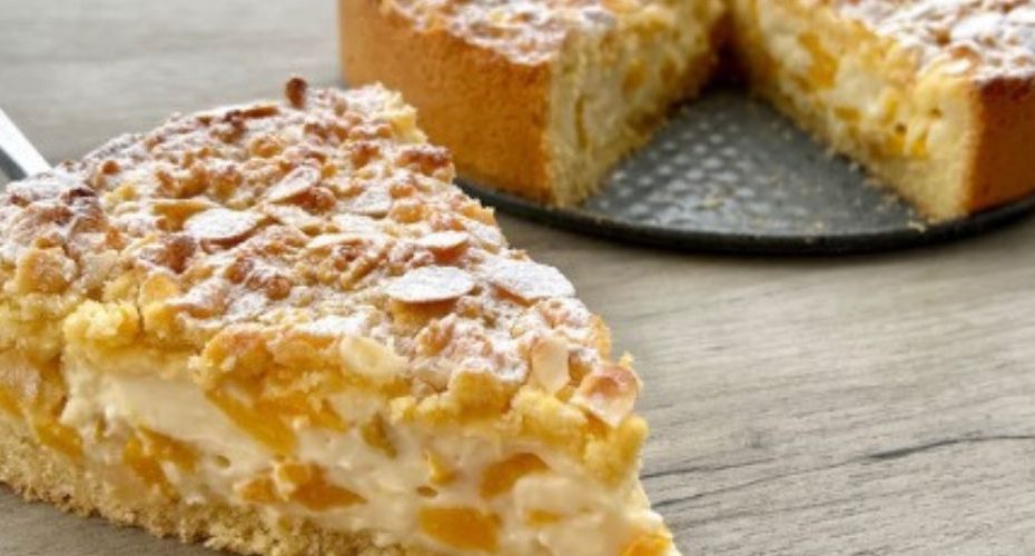 Дизайн без названия 2023 11 17T173007.674