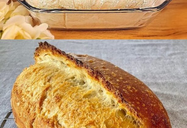 415193043 347269028050096 7091742959020516318 n 742x1024 1