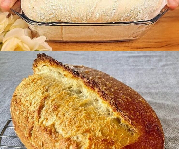 415193043 347269028050096 7091742959020516318 n 742x1024 1