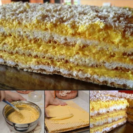 417108411 122097948302178052 5647796987938244407 n