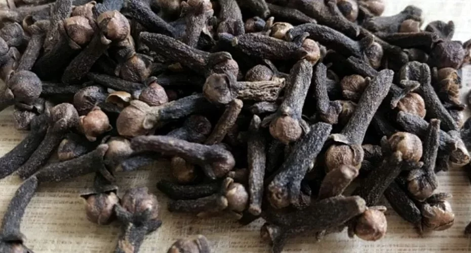 аб 2023 09 29T202710.830.jpg