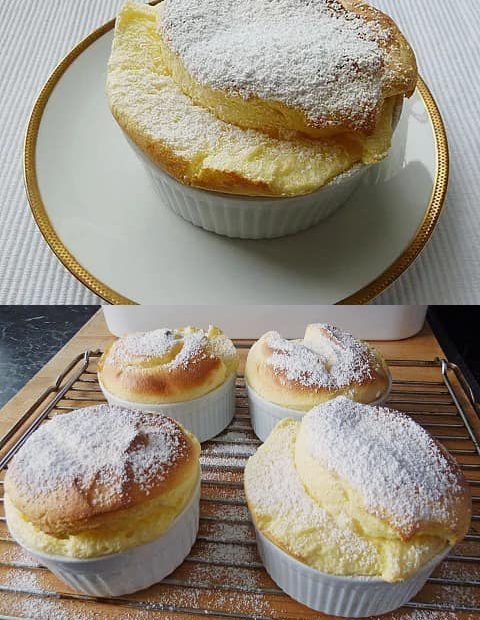 431462721 423946606973558 1549807694103544568 n