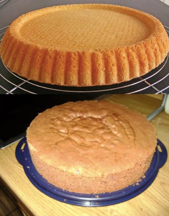 438118570 351519561242818 4198909402176540563 n