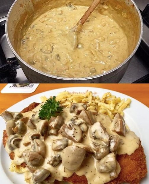 454754796 413561941705246 734191017526668948 n