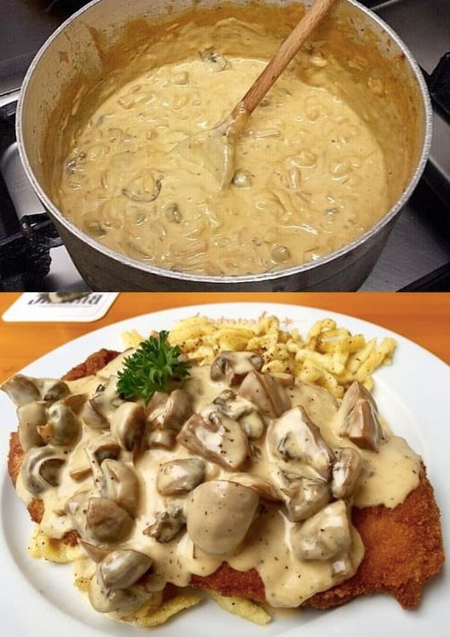 454754796 413561941705246 734191017526668948 n