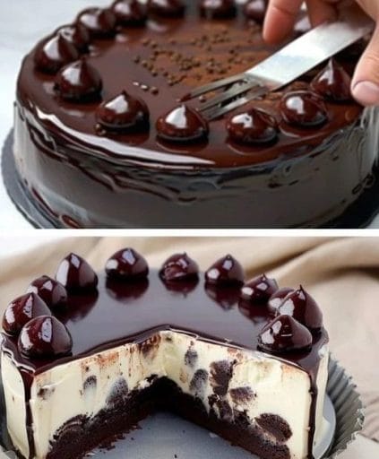 459085426 907958864695946 1119807337506649018 n 512x620 1 e1727556552956