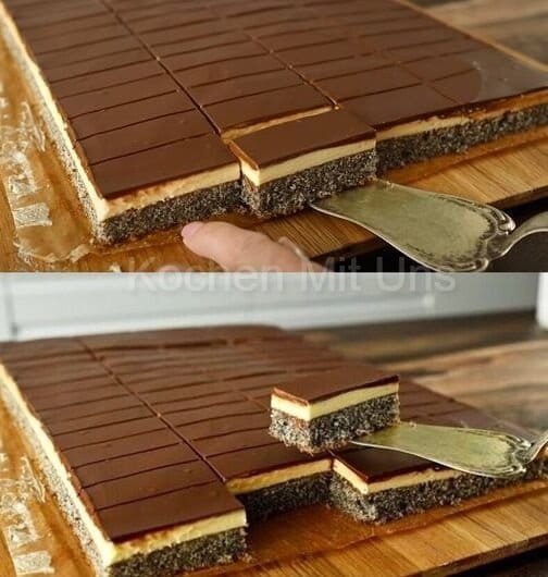 461927162 538320825445667 2801929581582151895 n