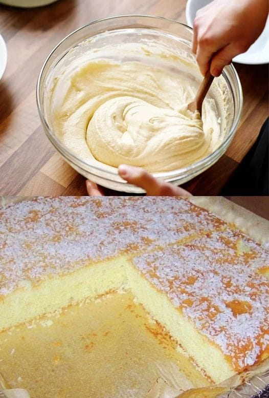 461938864 538051068805976 8740098458013661507 n