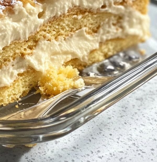 466012833 1111210437672970 1096389882340346753 n edited