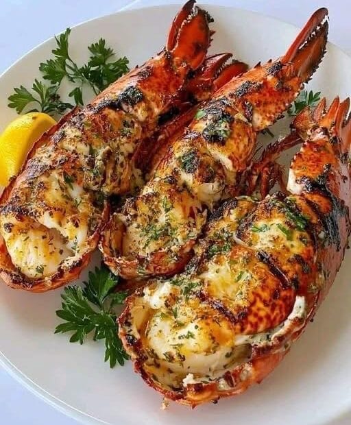 474535152 534063569654366 2418894833528909440 n