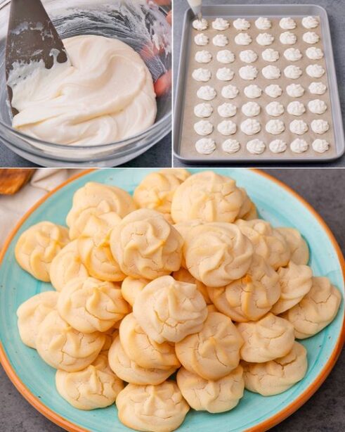 444948672 337675652687174 2166667019144543654 n e1739219720580