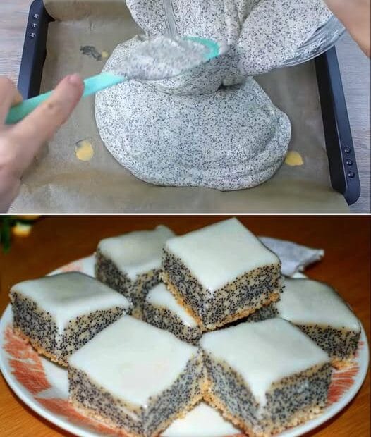 476364810 541891605538945 8042512239361694278 n