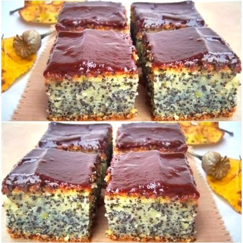 1000012769 479x480 1