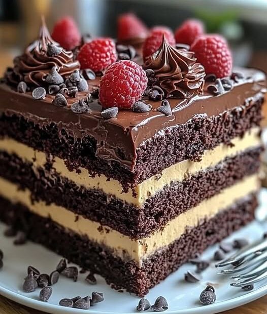 482827209 122205913904156814 9193559490520878333 n