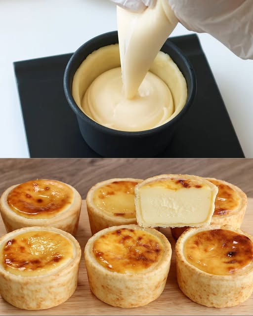 493517118 580721598378496 5744130212931840340 n