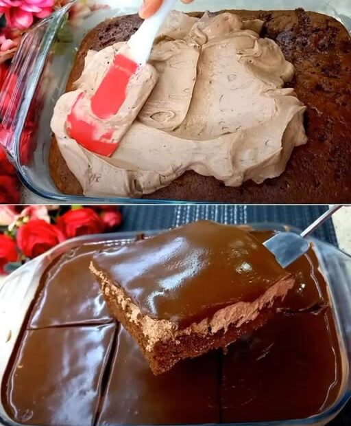 528598889 122189248496286293 5378642073141308581 n