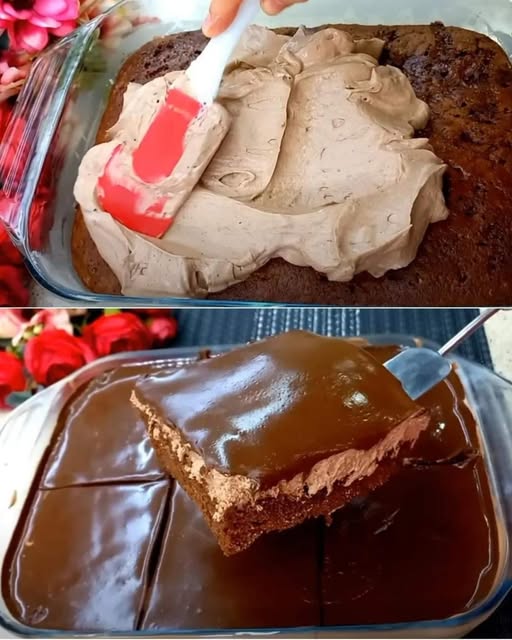 528598889 122189248496286293 5378642073141308581 n