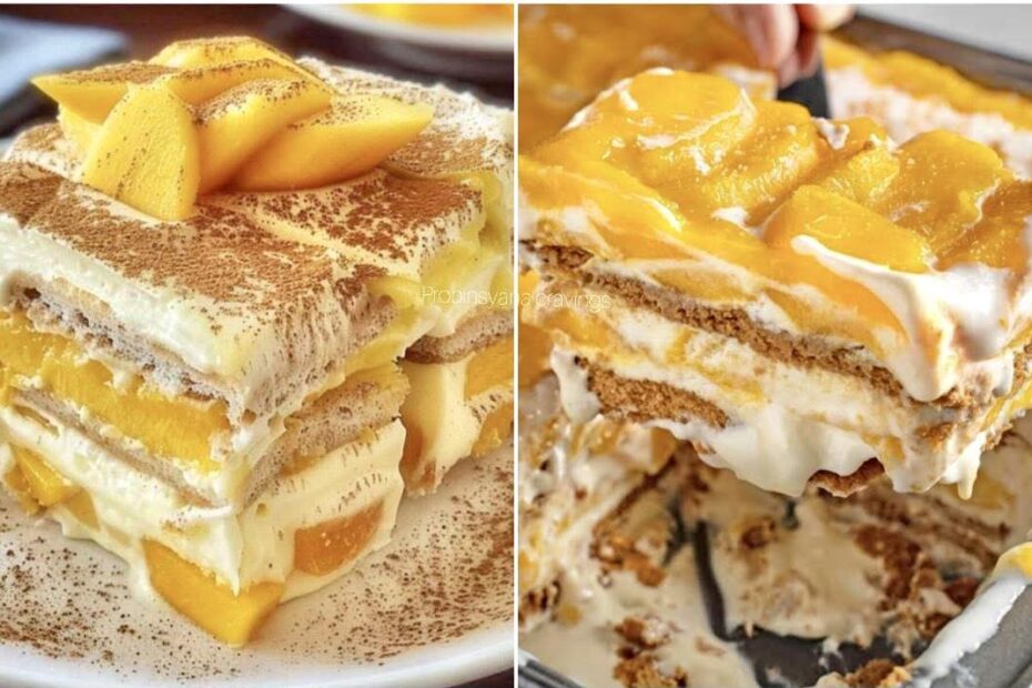 533528130 122235212936246044 6942458585766634796 n e1756105143903