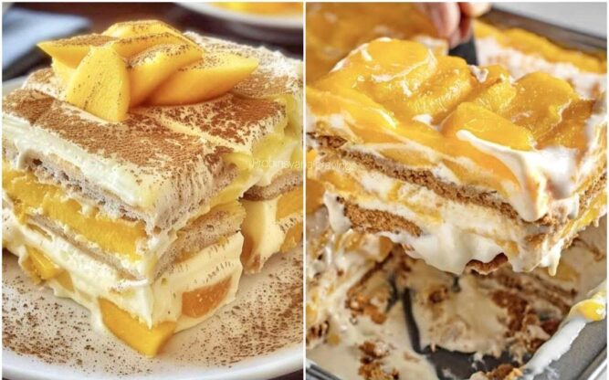 533528130 122235212936246044 6942458585766634796 n e1756105157175