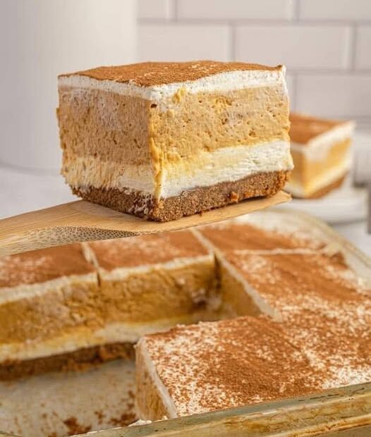 537525288 1336457234509453 8492117412194290040 n