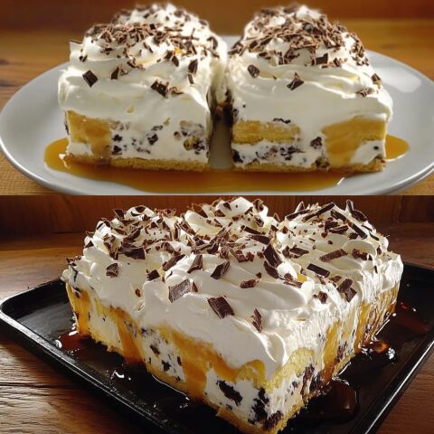 1000017274 480x480 1