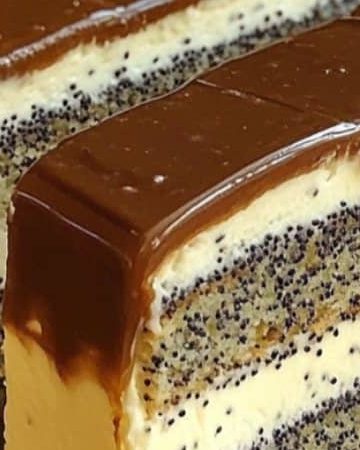 512528520 737999782132951 3964079465235492402 n edited