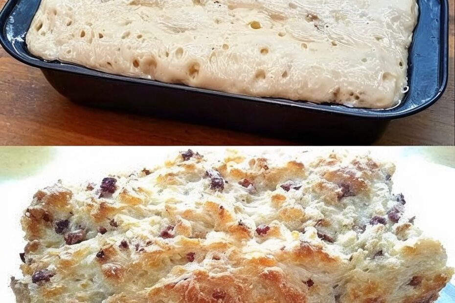 540681789 1300363355211613 2511918967676535671 n