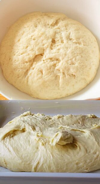 Universeller Teig so geht er immer auf 836x1536 1 810x1488 1 e1757324263167