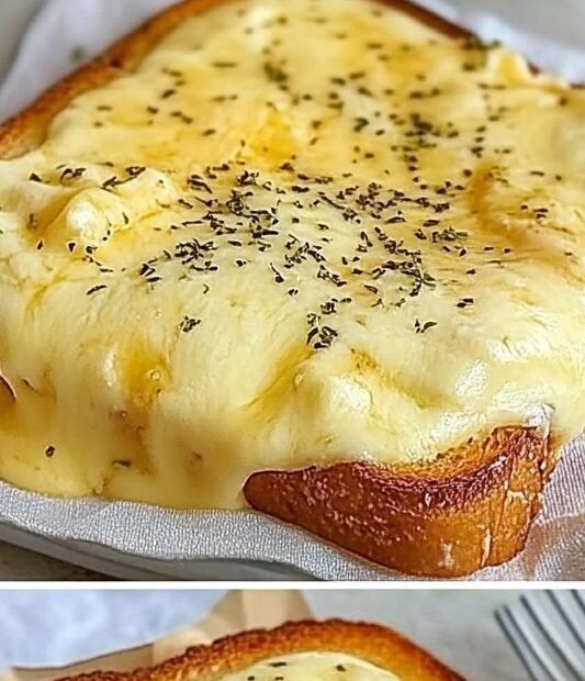 463950043 1061784669069484 5467590208442102342 n edited