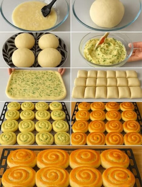 572192554 1442896587841028 1482889012545552622 n e1761729663818