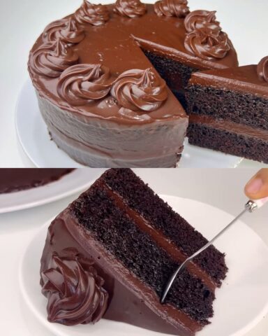 1000011792 384x480 1