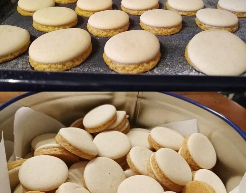 401444917 122119588310076452 9156170781723877294 n 791x1024 1