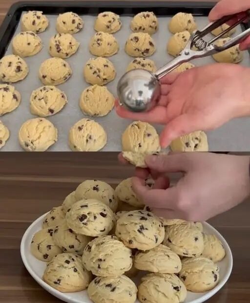 463669052 935915195233646 4520377059199614560 n