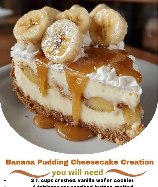 592257630 122147122496902753 5097970658688064668 n