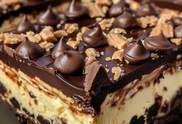 IMG 7938.jpg.webp.bv